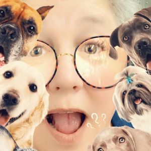 Meet your Posher, Deb